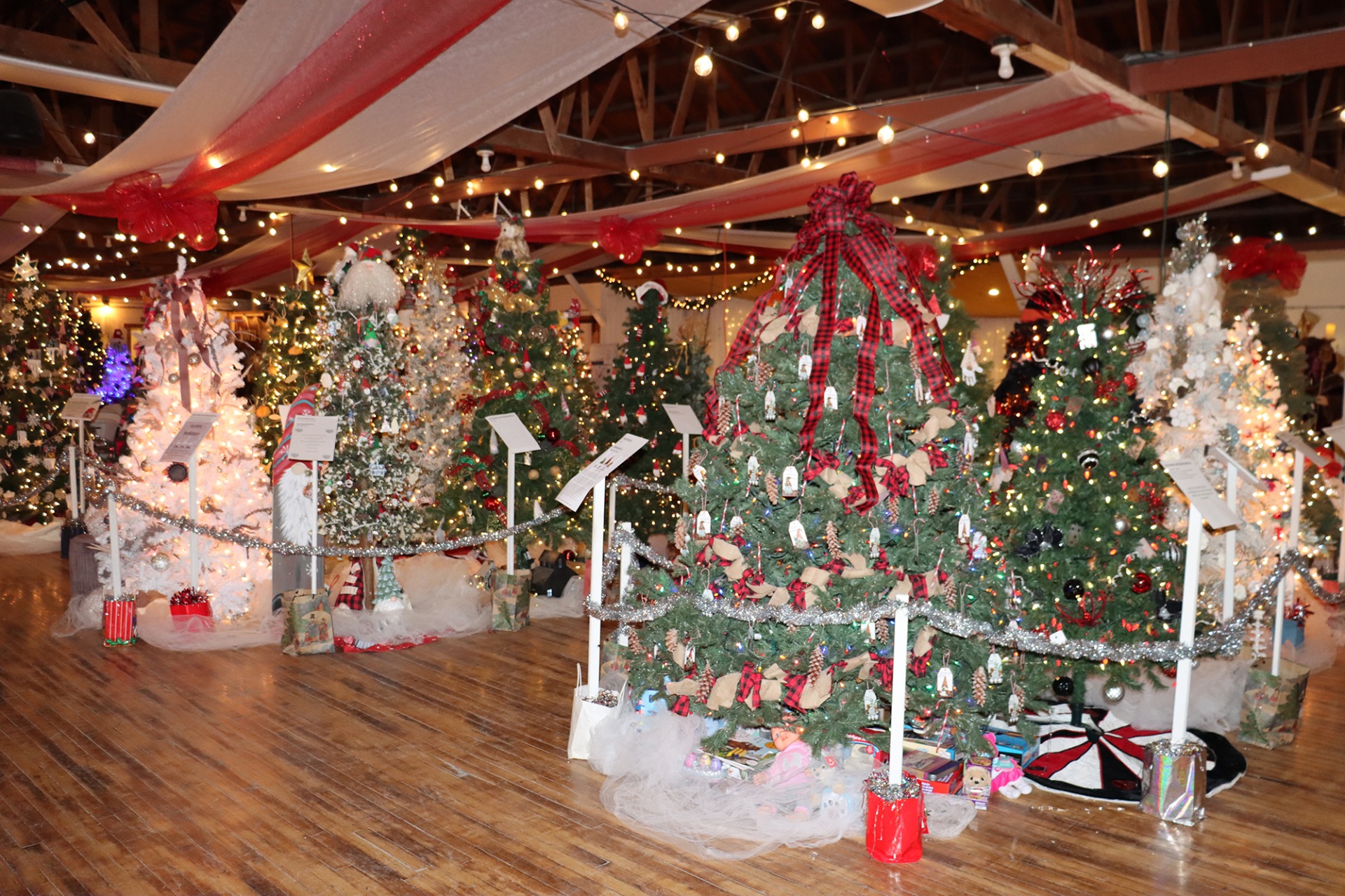 Christmas trees decorated for Veterans Memorial Hospital Foundation's Christmas Fantasy event.