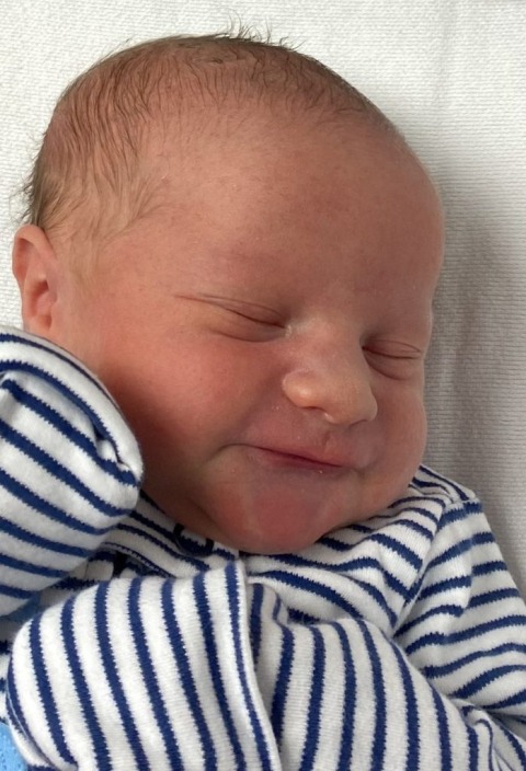 Kolson David