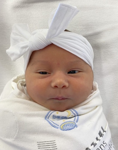 Brinley Lynn