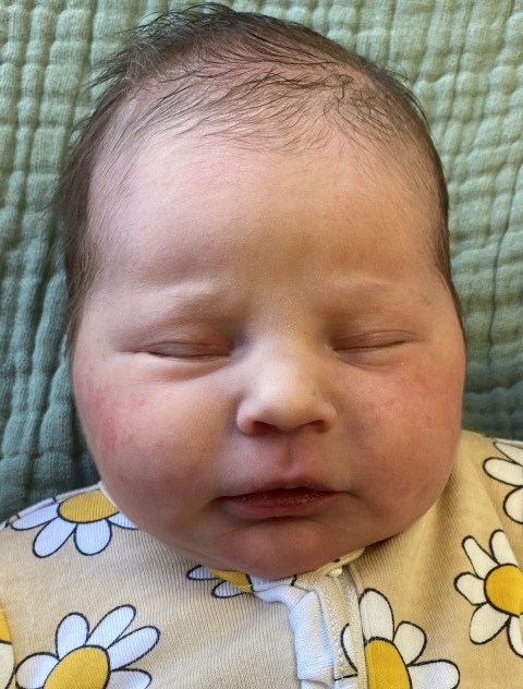 Brexleigh Jo
