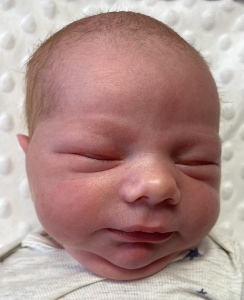 Tucker Daniel