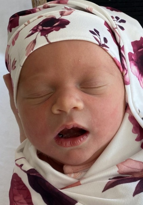 Lily Kay