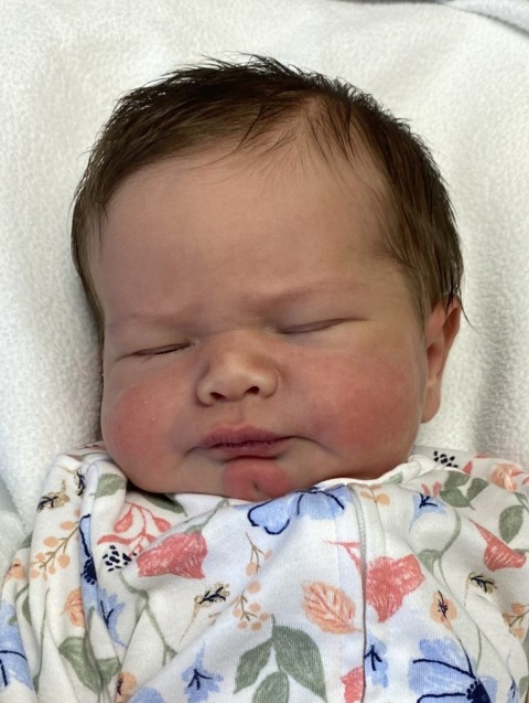Lucy Renee
