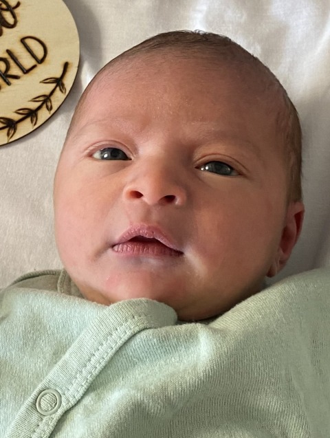 Ariana Sophia