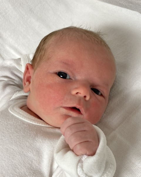 Harra Abigail