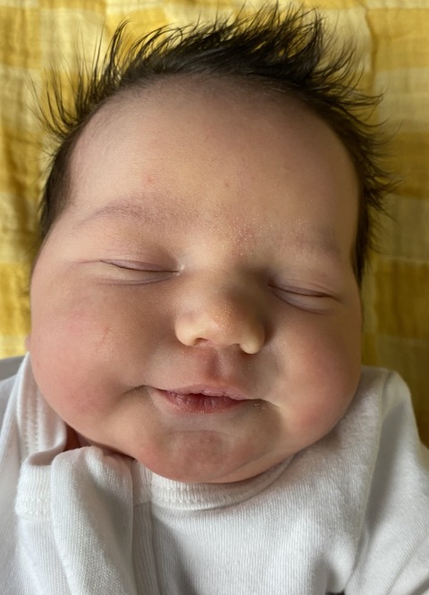 Hayden June