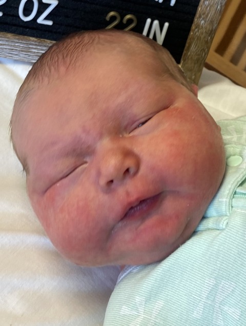 Jamison Henry