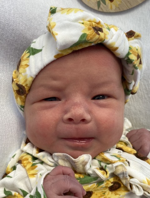 Jovi Gene