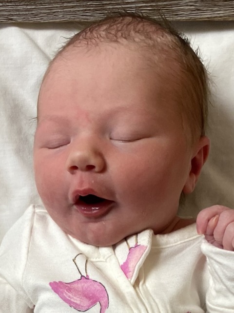 Jovie Lou